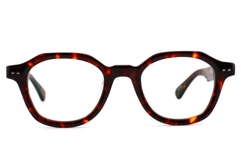 S81 SKY col.Tortoise